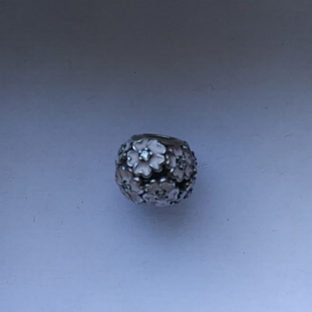 Authentic Pandora Charm